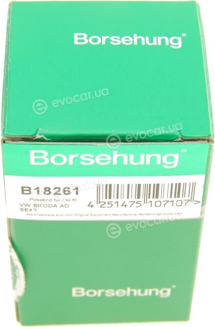 Borsehung B18261