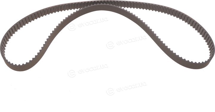Motive TBK4982WP