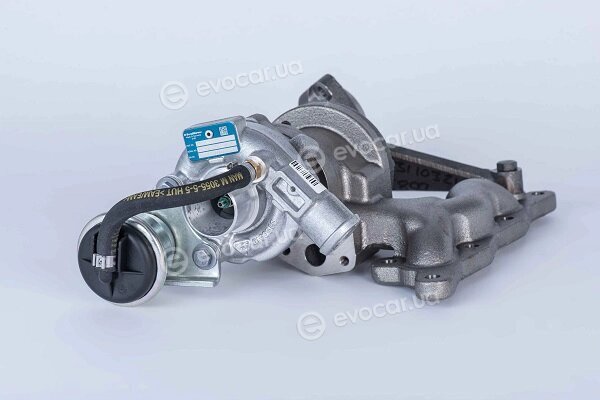 BorgWarner 54319880002