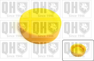 Quinton Hazell FC556