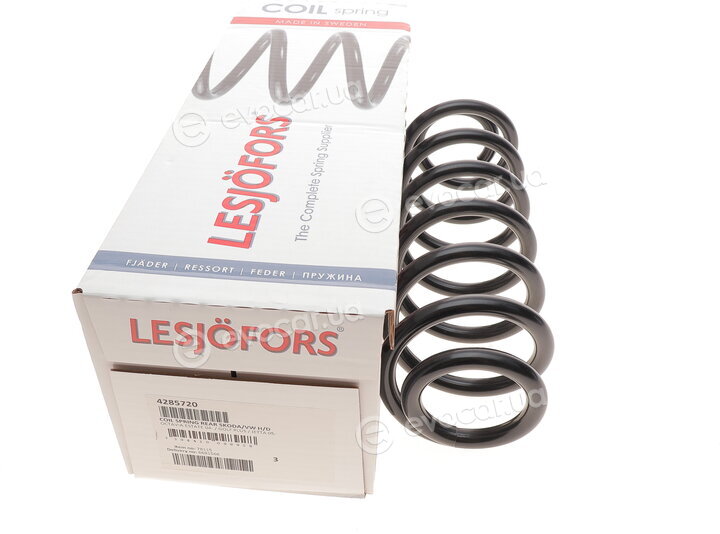 Lesjofors 4285720