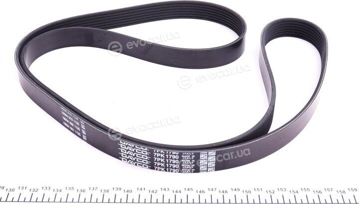 Dayco KPV187