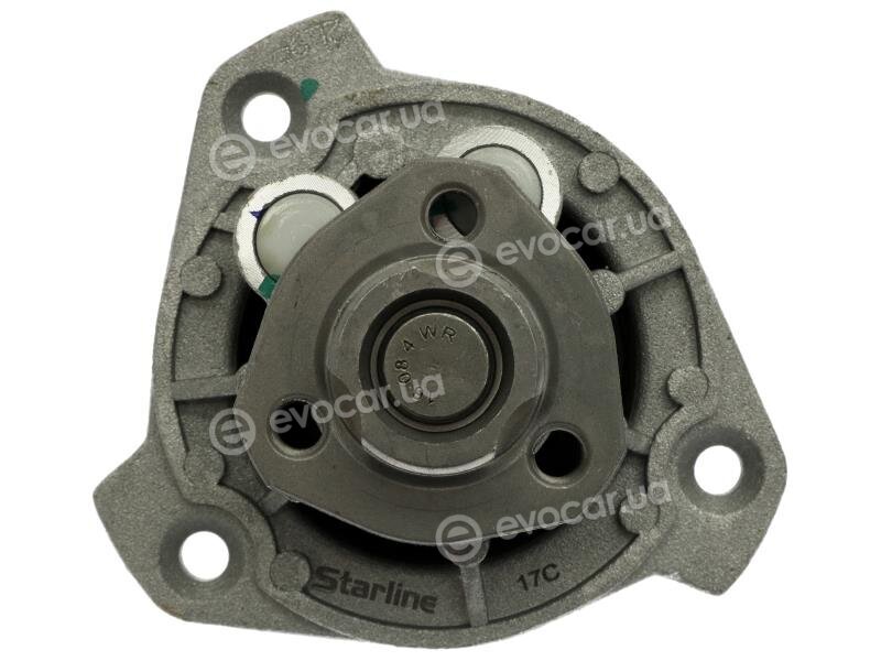Starline VP V137