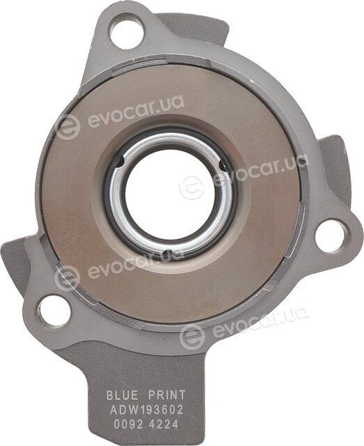 Blue Print ADW193048