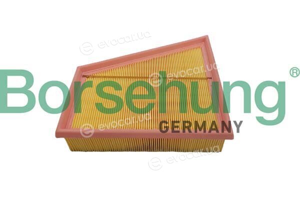 Borsehung B12359