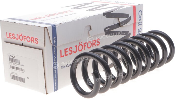 Lesjofors 4256850