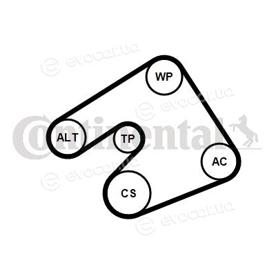 Continental 5PK1397WP1