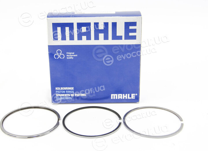 Mahle 029 54 N1