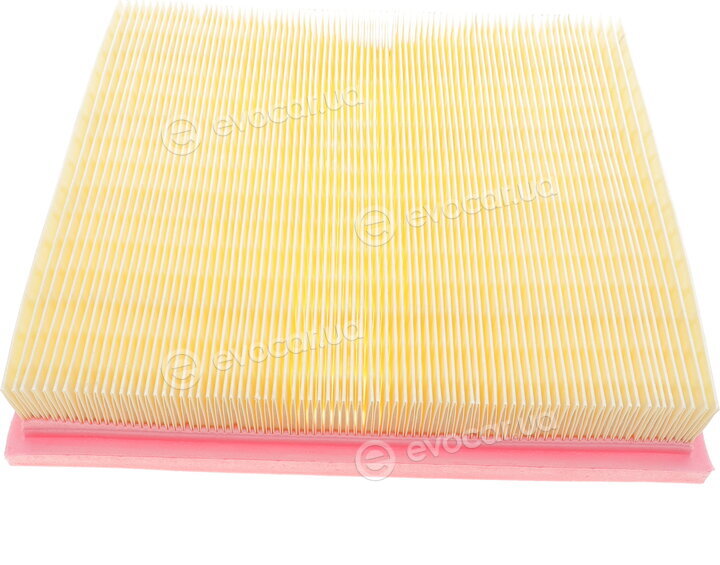 Solgy 103121