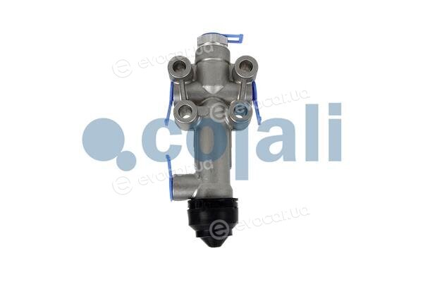 Cojali 2314303