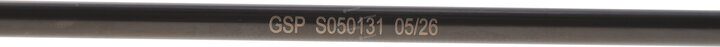 GSP S050131