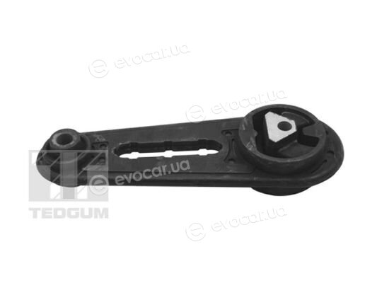 Tedgum TED18302
