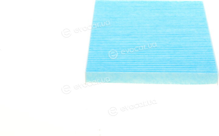 Blue Print ADG02555