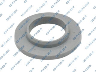 GSP 530699