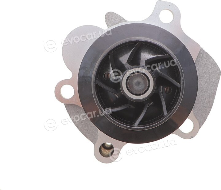 Motive TBK4982WP