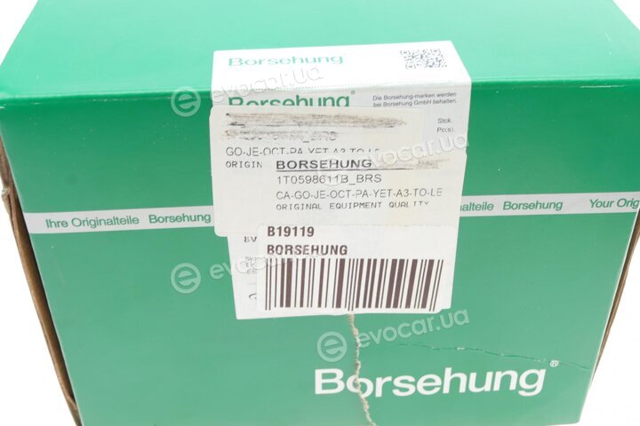 Borsehung B19119