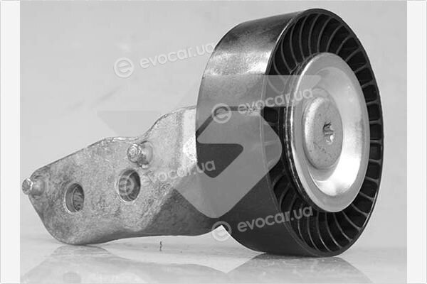 Hutchinson T0653