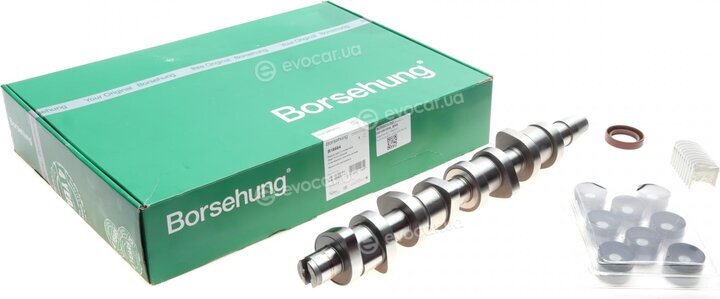 Borsehung B18664