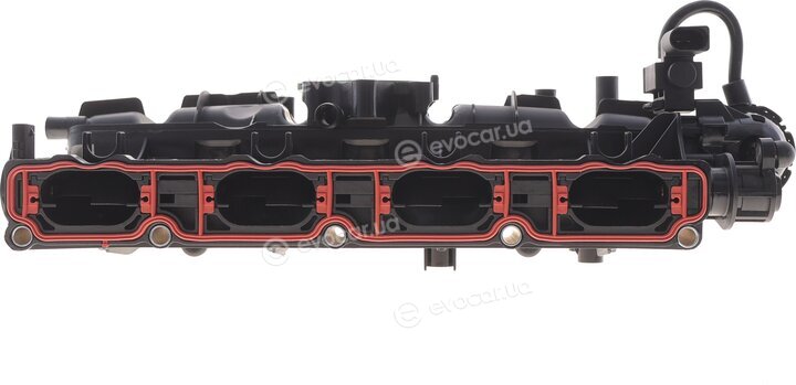 Solgy 114299