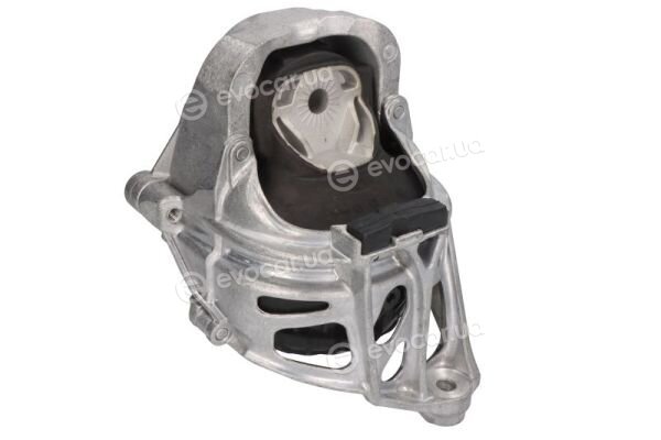 Reinhoch RH11-0173