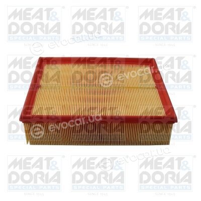 Meat & Doria 16555