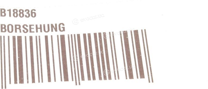 Borsehung B18836