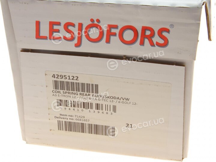 Lesjofors 4295122