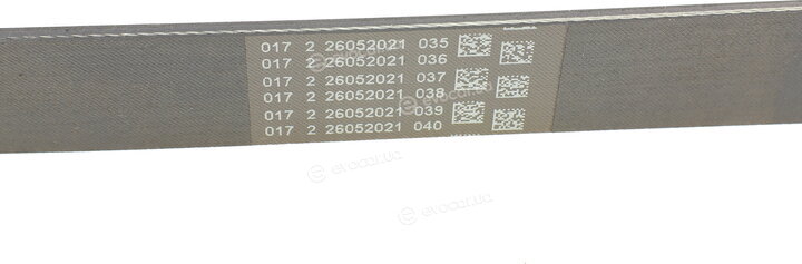 Continental 7PK1093