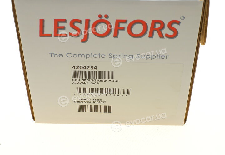 Lesjofors 4204254