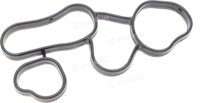 Borsehung B10621