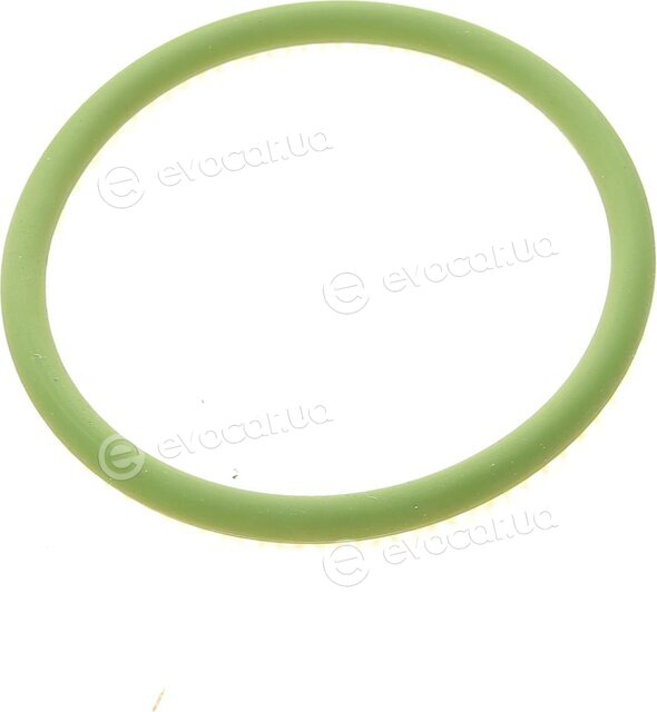 Elring 570.870