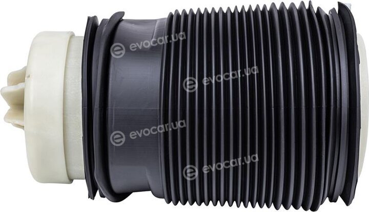 Starline TL V00016