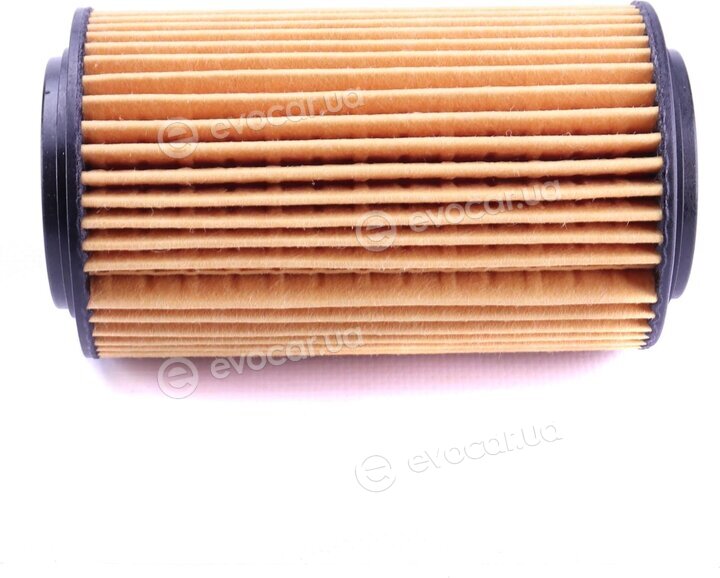 Mahle OX 153/7D1