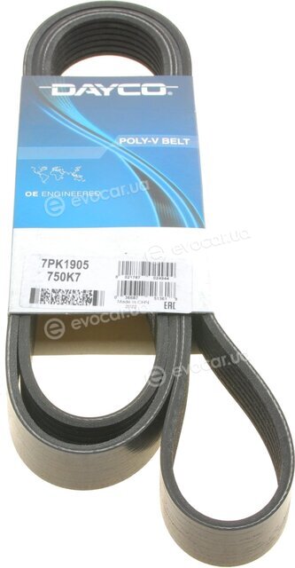 Dayco 7PK1905