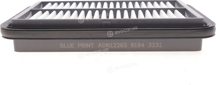 Blue Print ADN12265