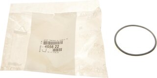Mopar (PSA / FCA) 4556.22