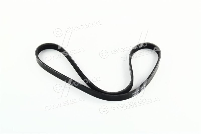 Dayco 4PK805