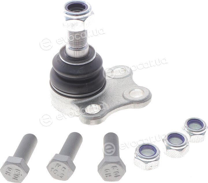 Blue Print ADZ98631