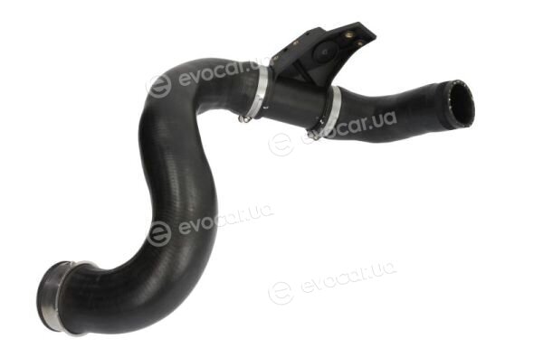 Thermotec DCY005TT