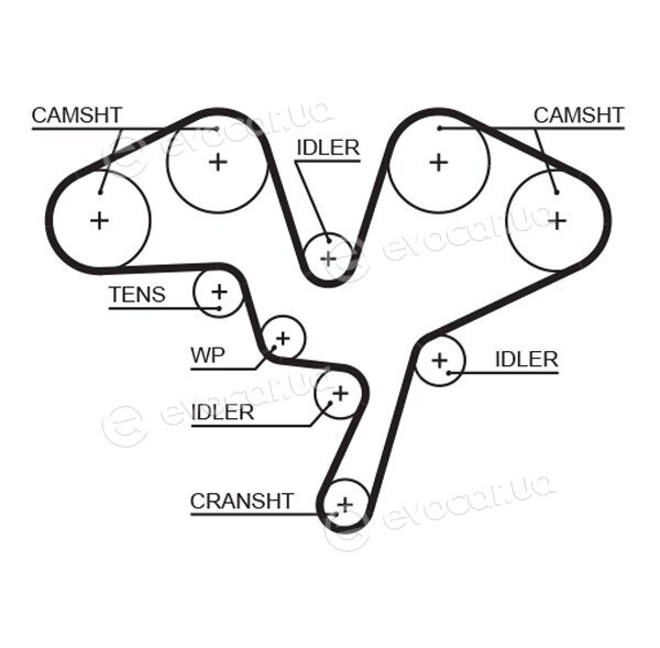 Gates K015602XS