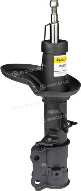 Raiso RS313528