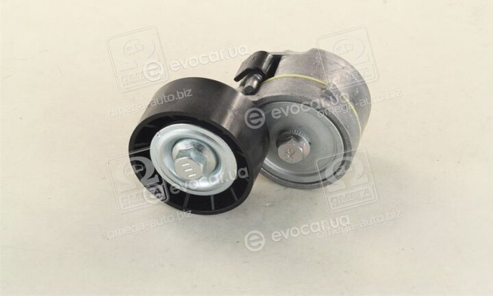 Dayco APV1000