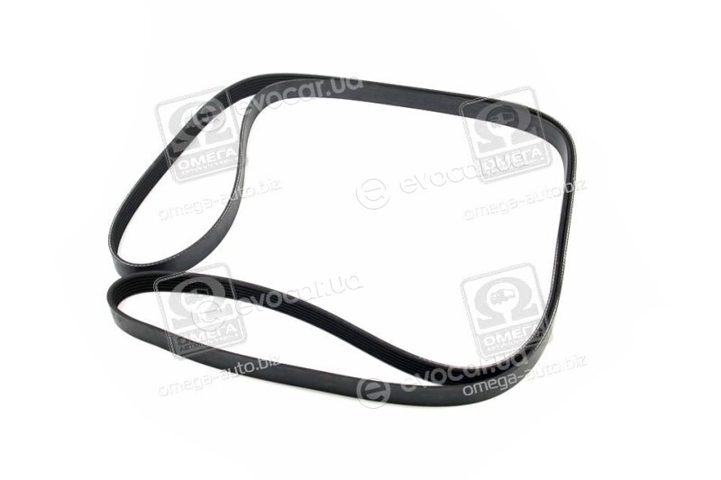 Dayco 6PK2590