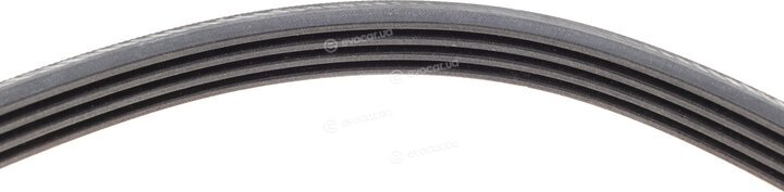 Continental 4PK1366