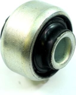 Sasic 2250022