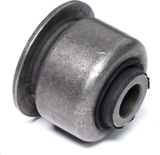 Sasic 2250013