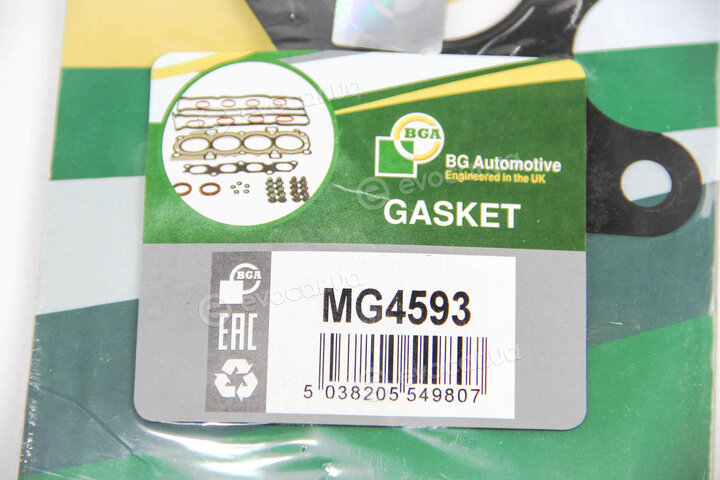 BGA MG4593