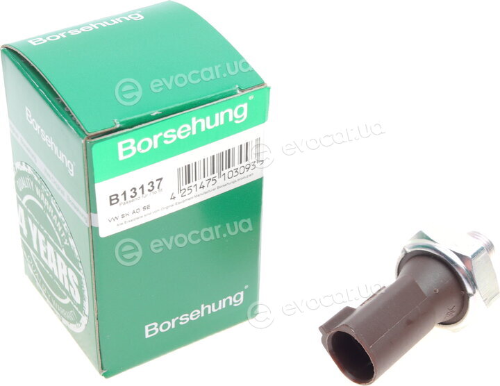 Borsehung B13137