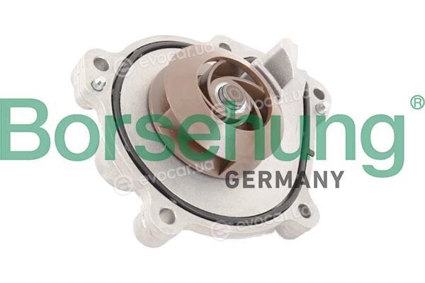 Borsehung B11218