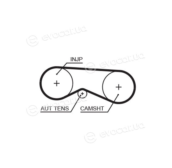 Gates K015557XS